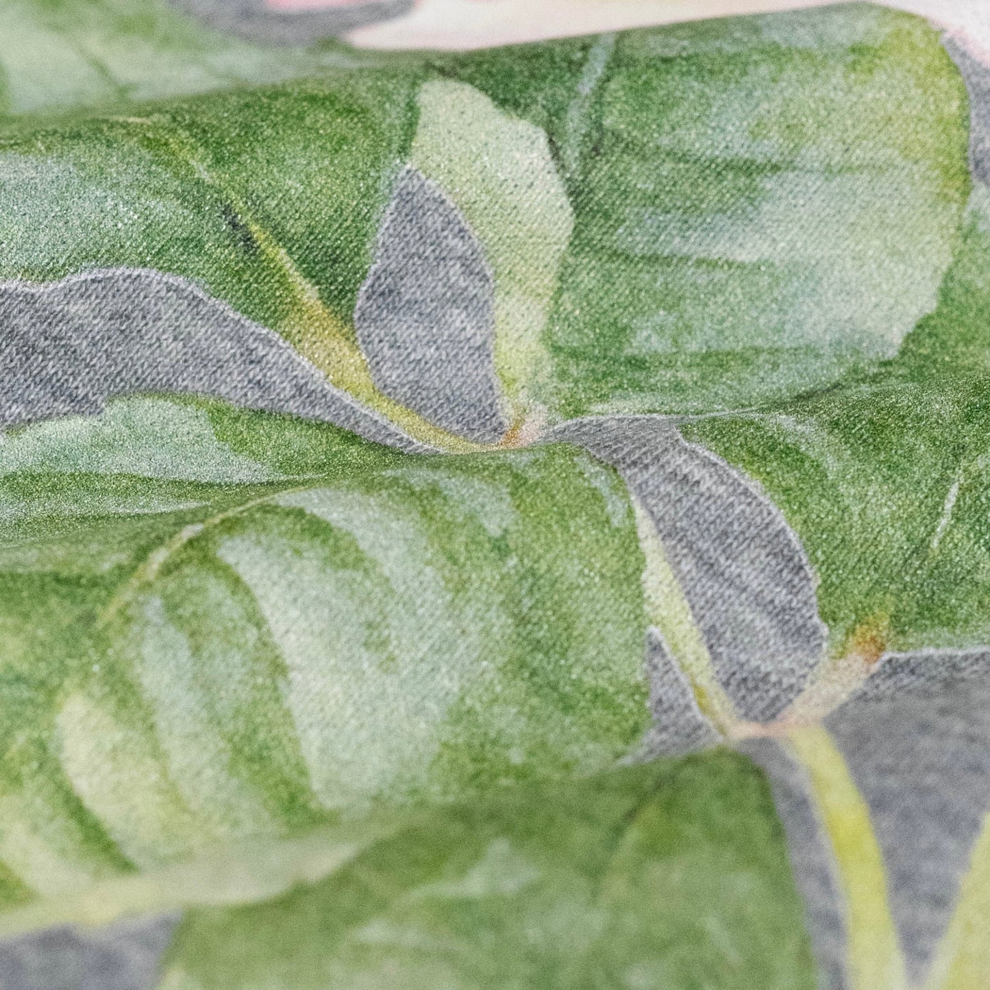 Pierre de Ronsard sweat