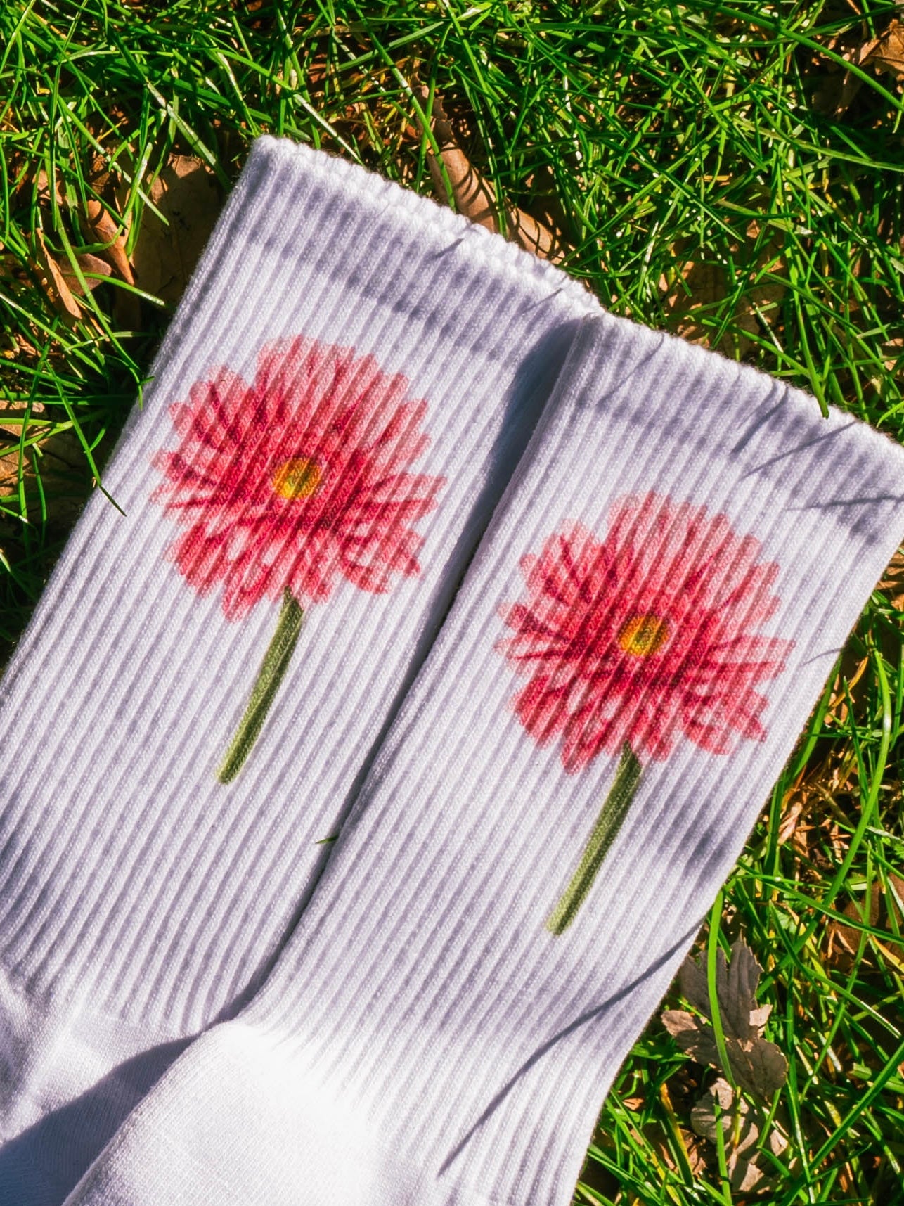 【GIFT ONRY】22~25 Gerbera socks Pink