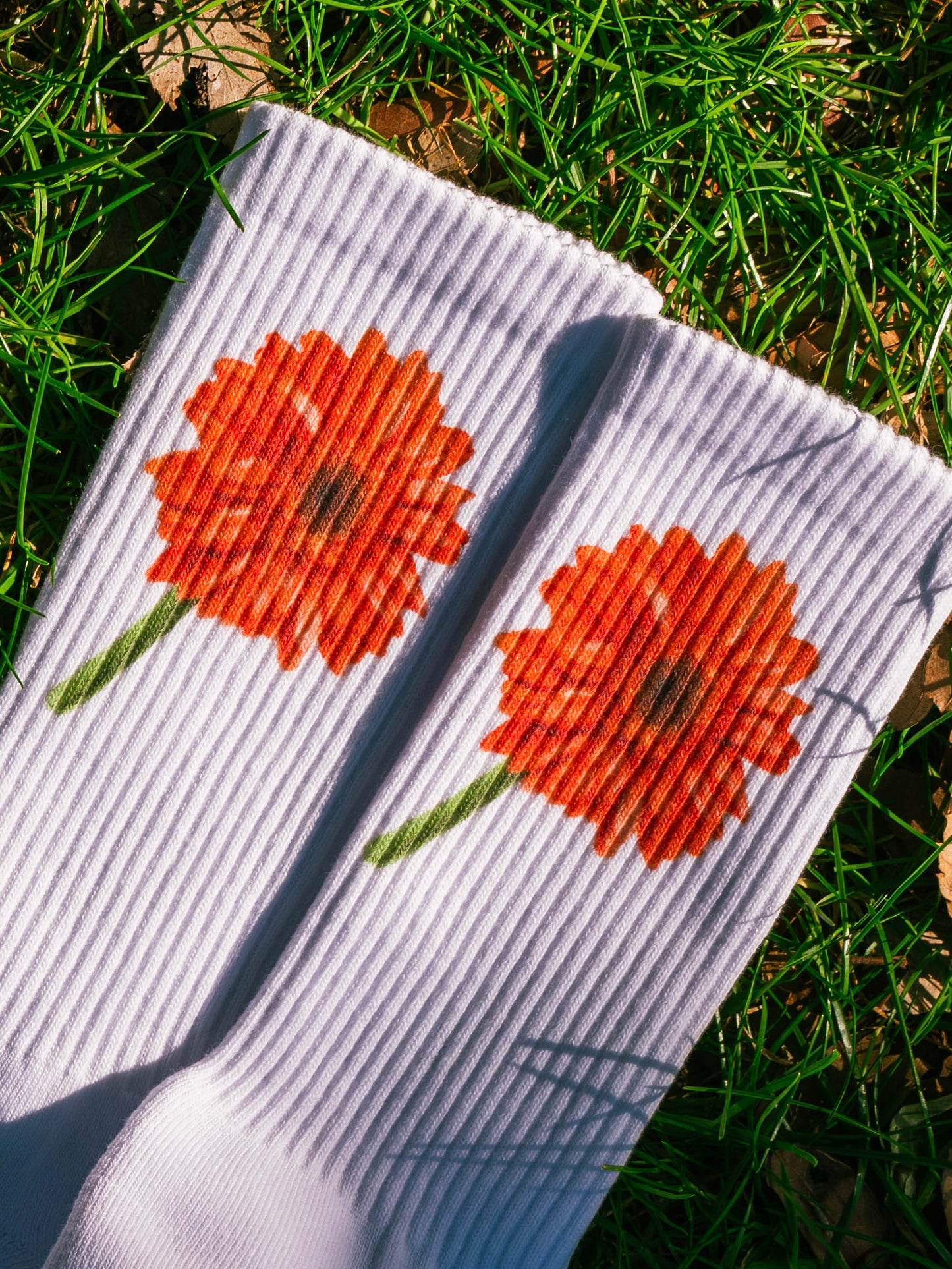 【GIFT ONRY】22~25 Gerbera socks Orange