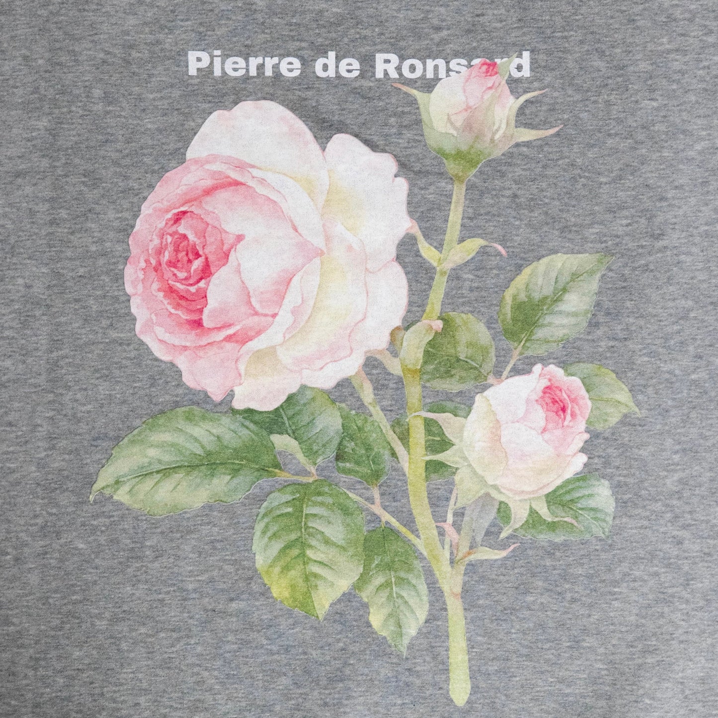 Pierre de Ronsard sweat