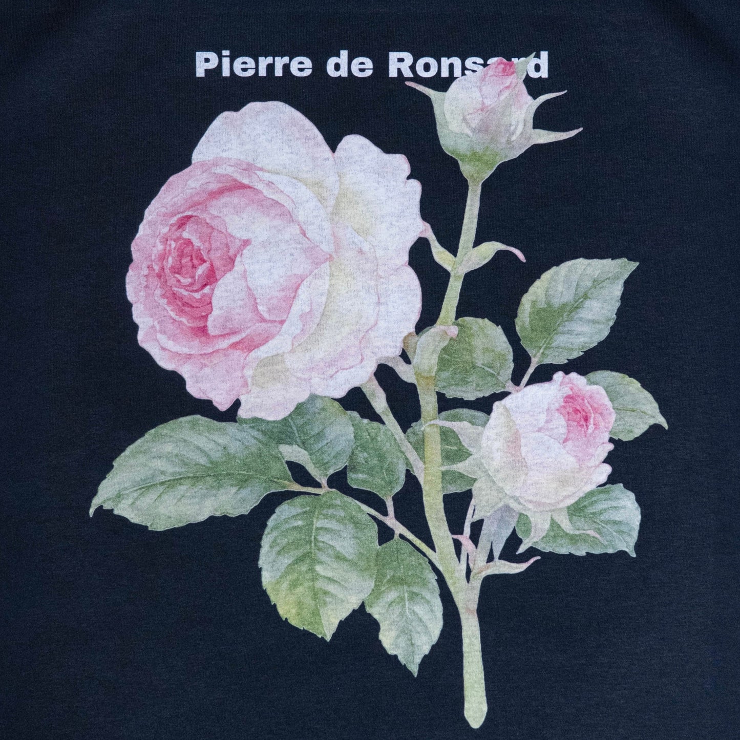 Pierre de Ronsard sweat