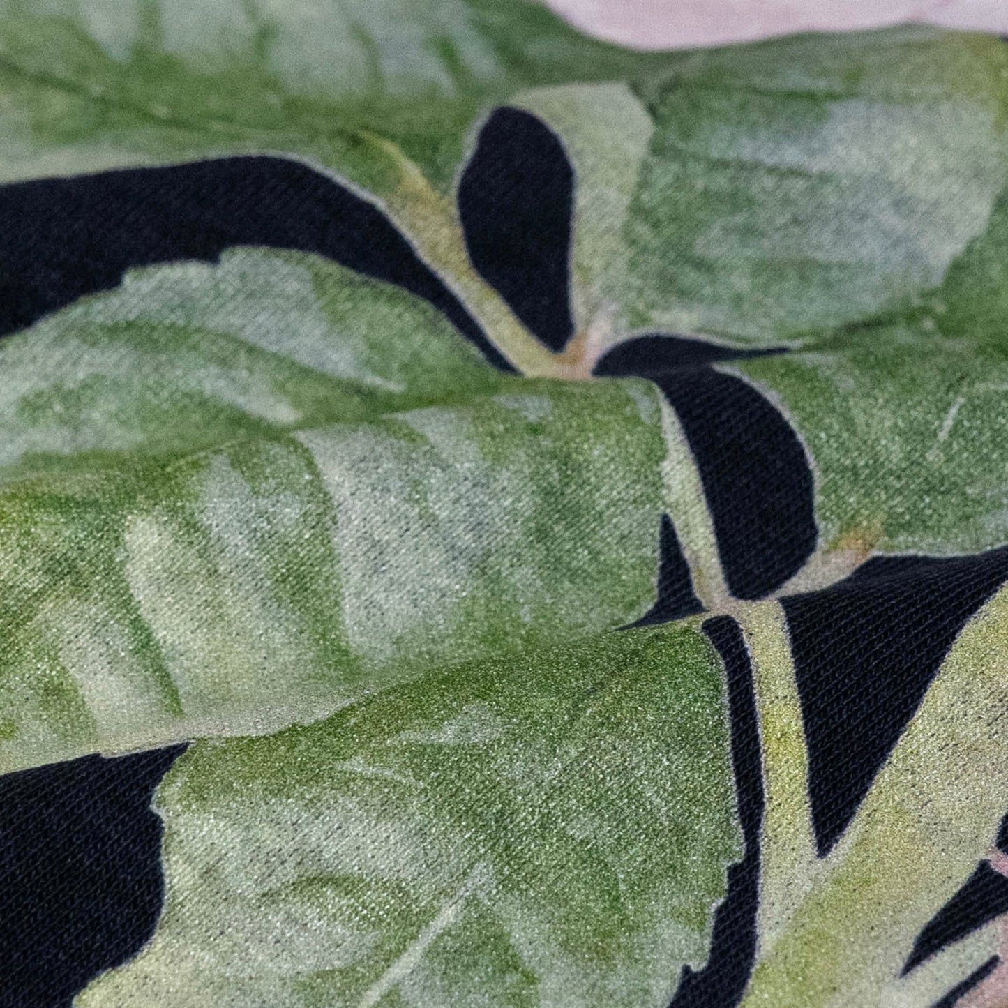 Pierre de Ronsard sweat