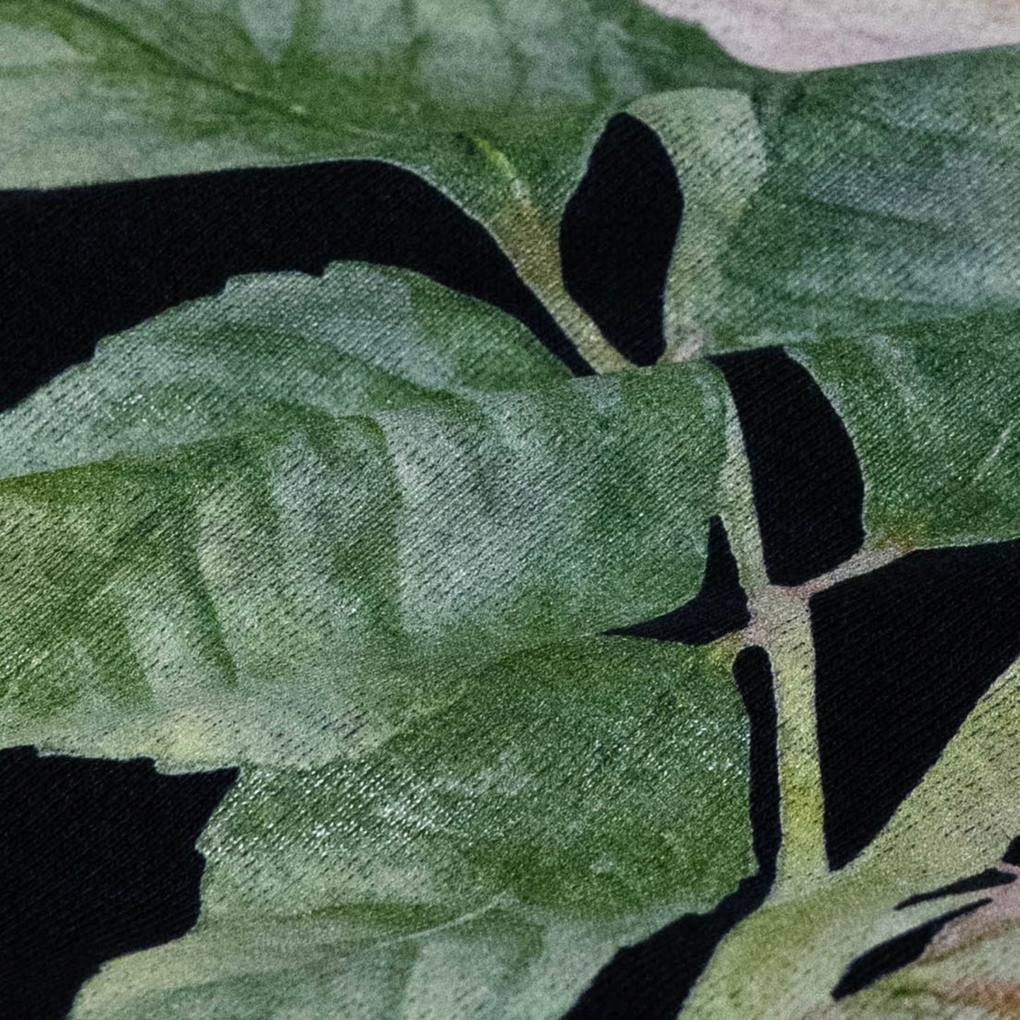 Pierre de Ronsard sweat