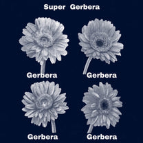 Gerbera Dot Tee    - June Limited