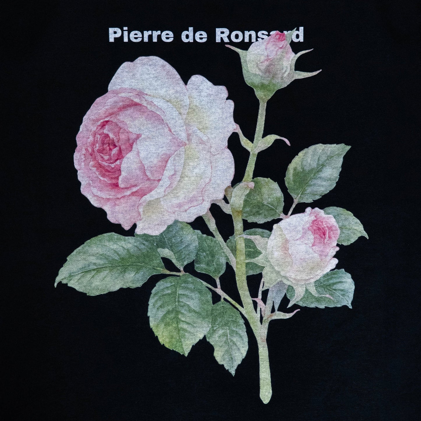 Pierre de Ronsard sweat