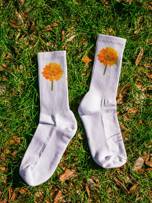 【GIFT ONRY】22~25 Gerbera socks Yellow