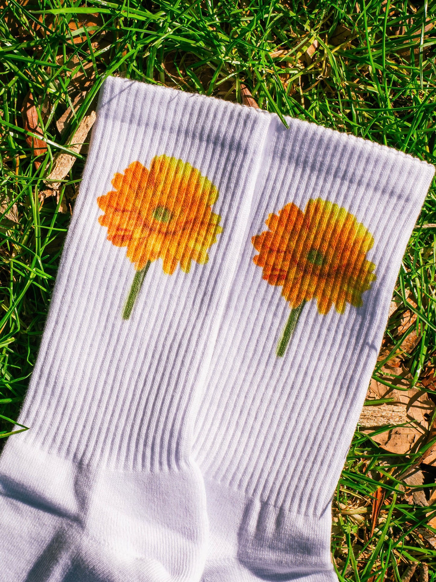 【GIFT ONRY】26~29 Gerbera socks Yellow