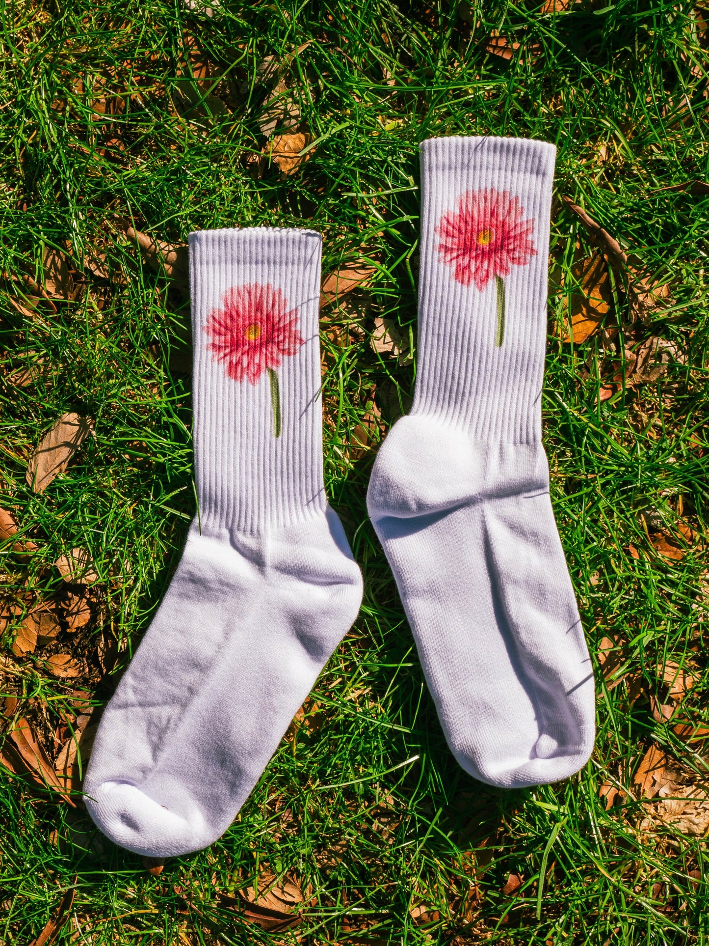 【GIFT ONRY】22~25 Gerbera socks Pink