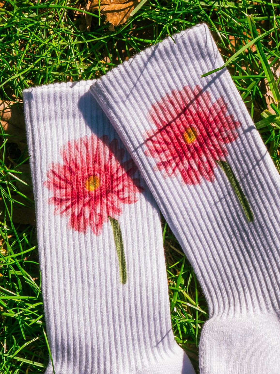 【GIFT ONRY】22~25 Gerbera socks Pink