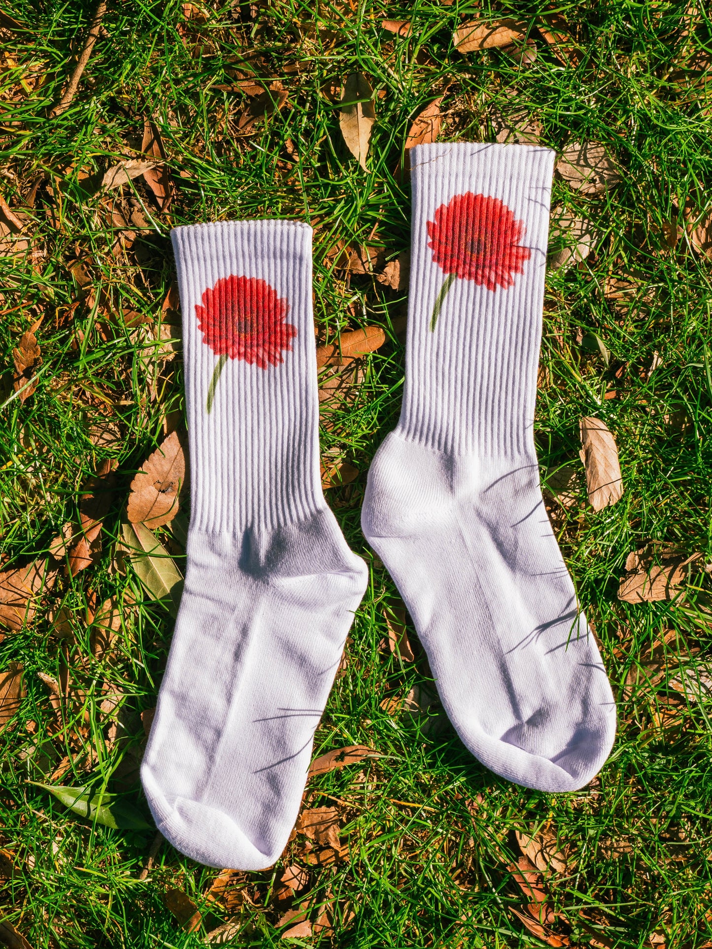【GIFT ONRY】22~25 Gerbera socks Red