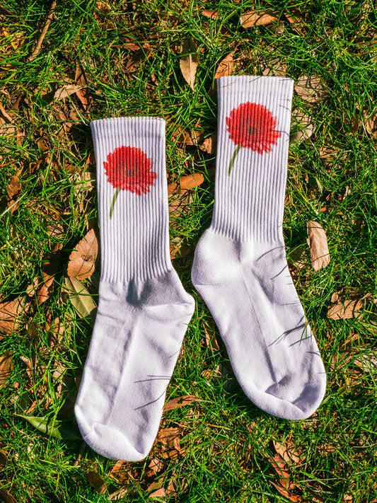【GIFT ONRY】22~25 Gerbera socks Red