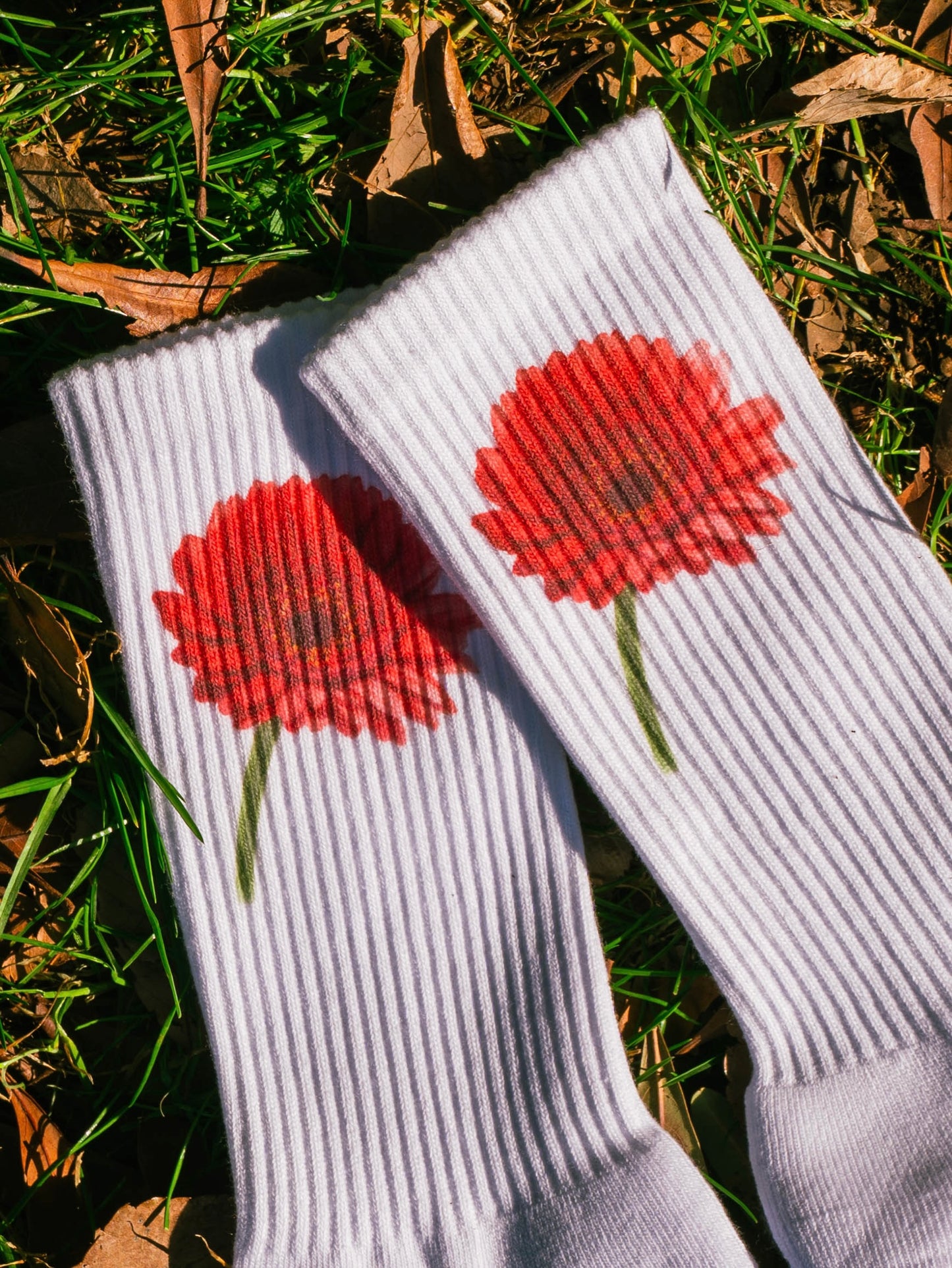 【GIFT ONRY】22~25 Gerbera socks Red