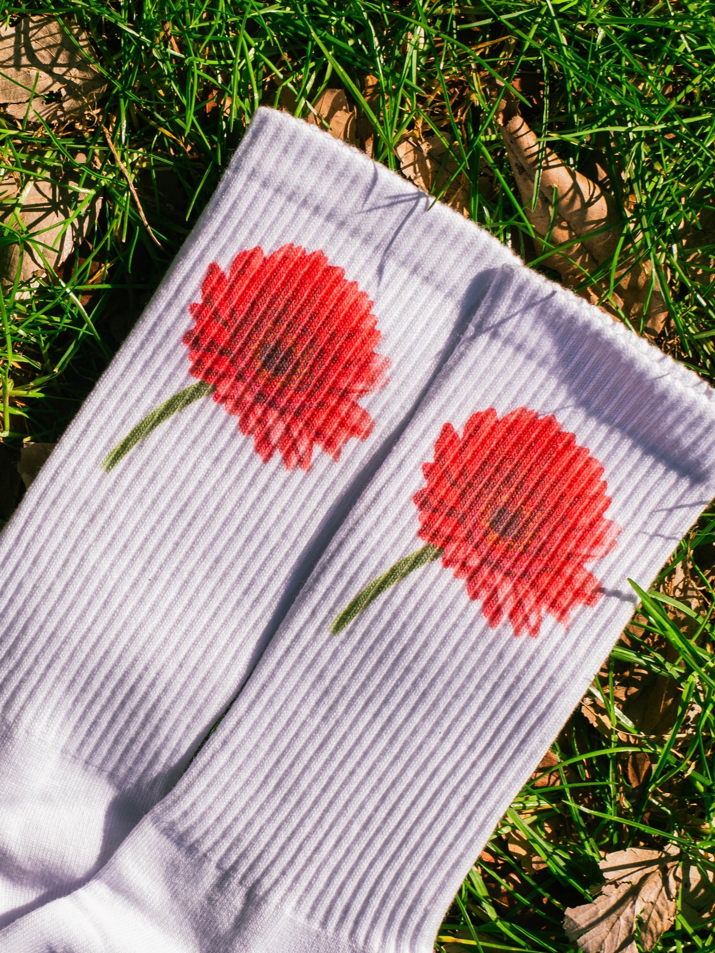 【GIFT ONRY】22~25 Gerbera socks Red