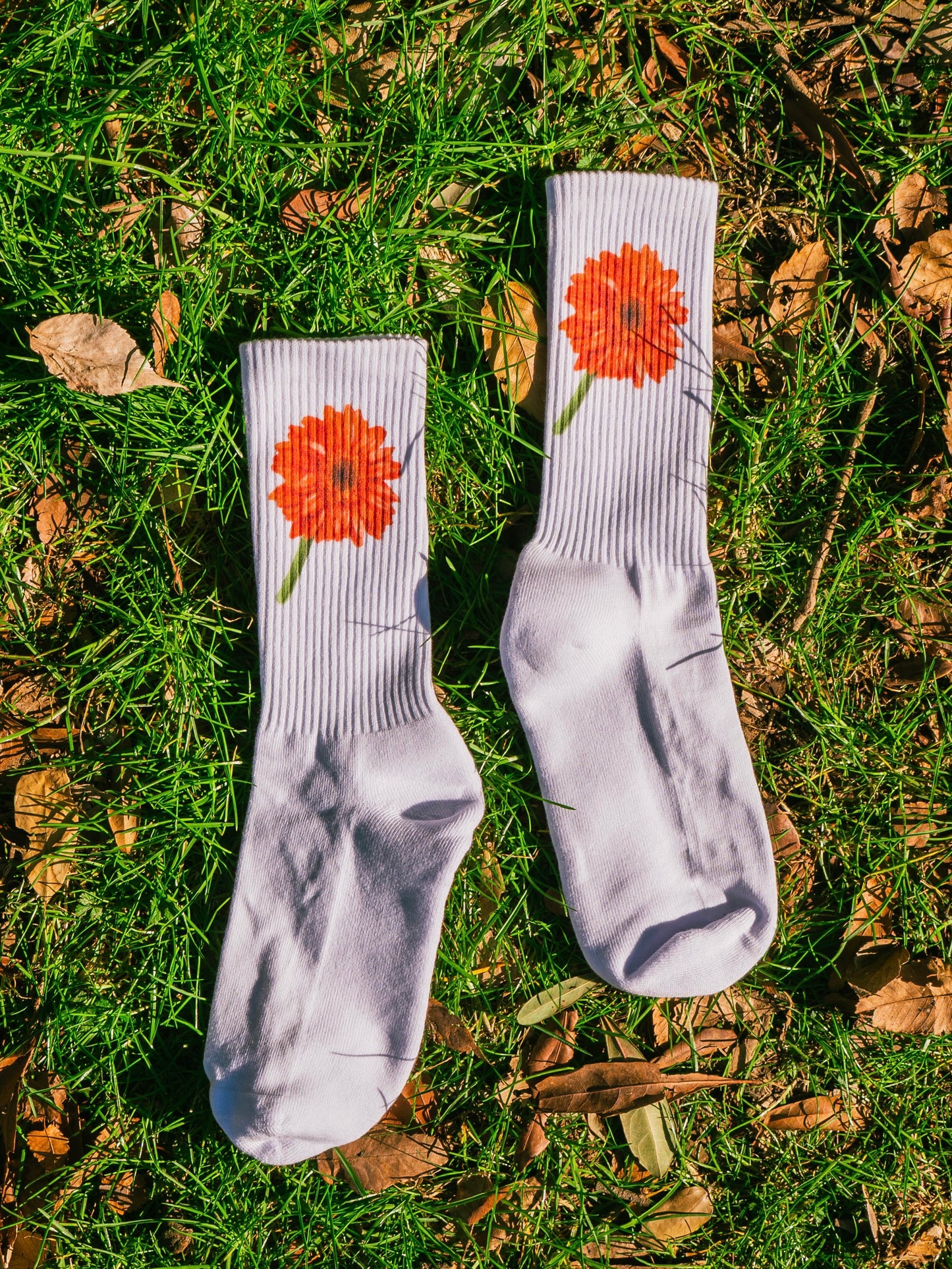 【GIFT ONRY】26~29 Gerbera socks Orange