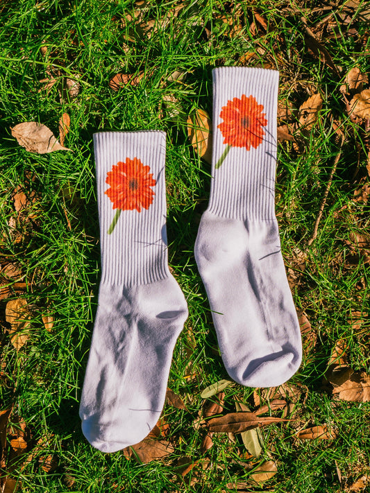 【GIFT ONRY】22~25 Gerbera socks Orange