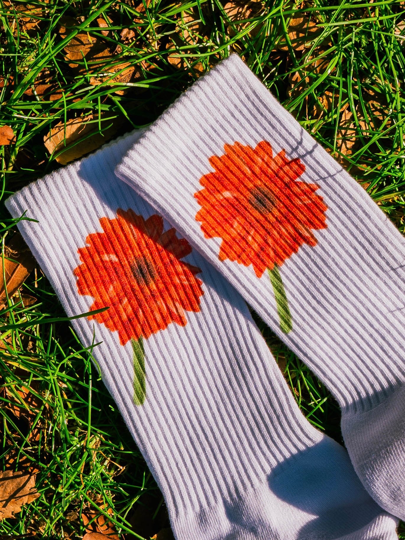 【GIFT ONRY】26~29 Gerbera socks Orange