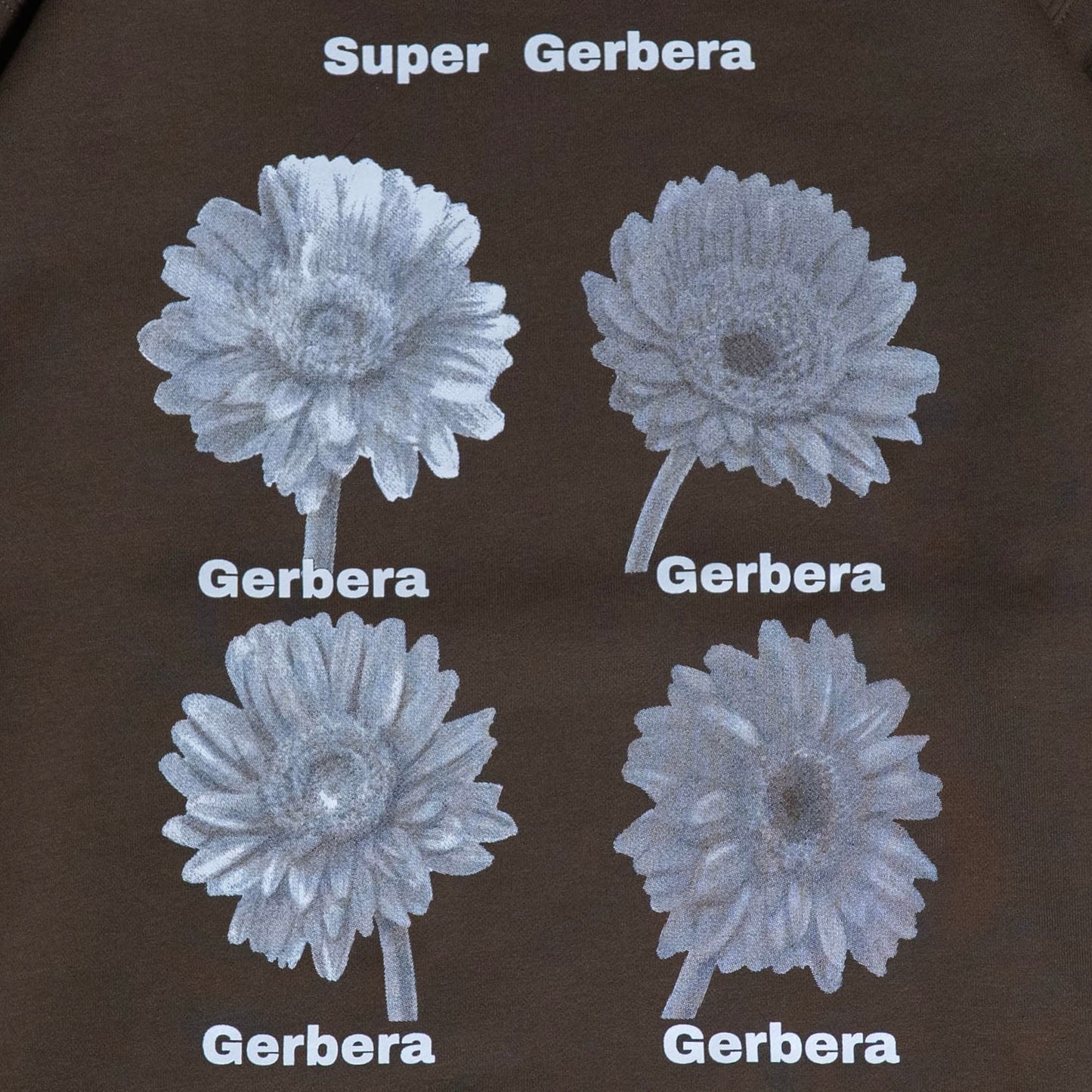 Gerbera Dot sweat