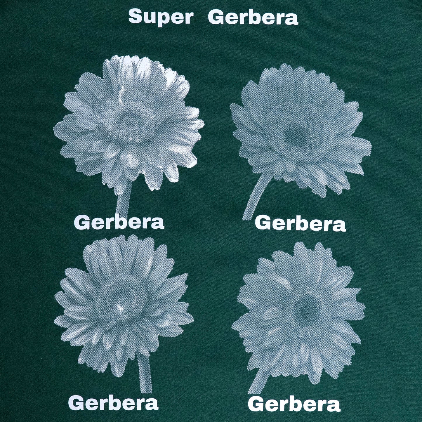 Gerbera Dot sweat