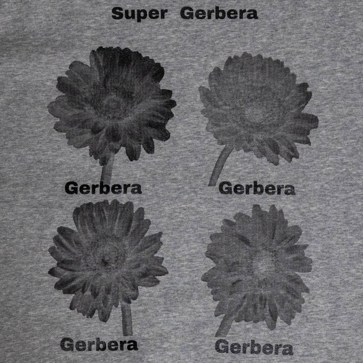 Gerbera Dot sweat