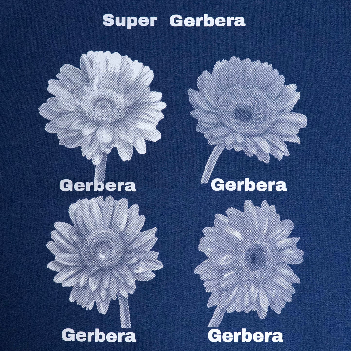Gerbera Dot sweat