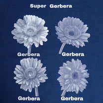 Gerbera Dot sweat