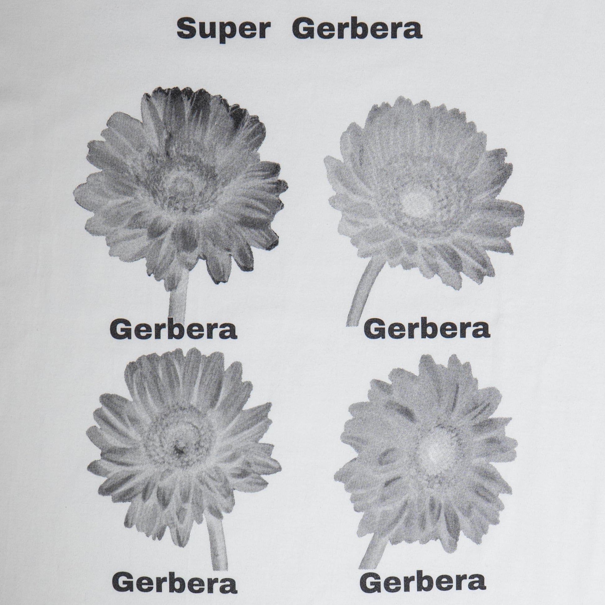 Gerbera Dot Tee