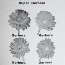 Gerbera Dot Tee