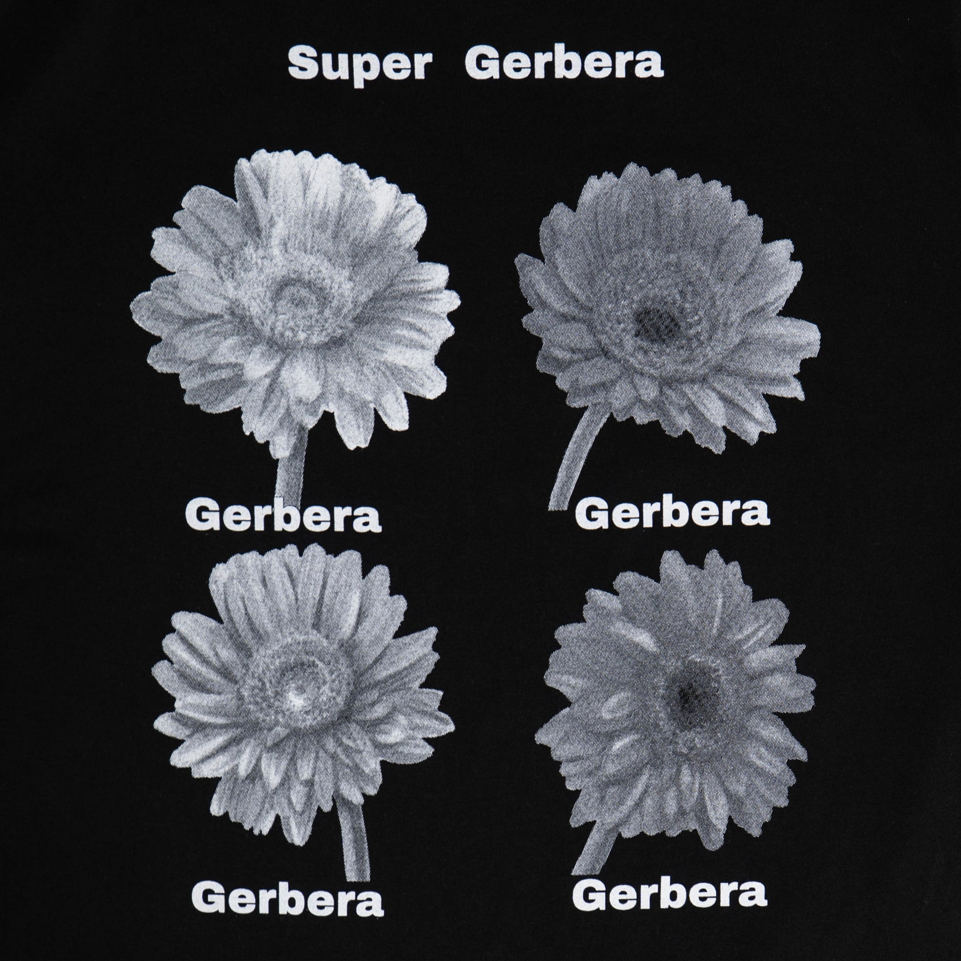 Gerbera Dot Tee